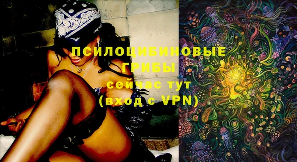 ешки Покачи