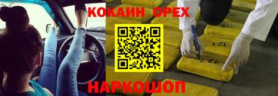сатива Моздок