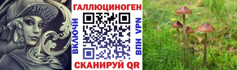 ОМГ ОМГ   сколько стоит  Сертолово  Псилоцибиновые грибы прущие грибы 