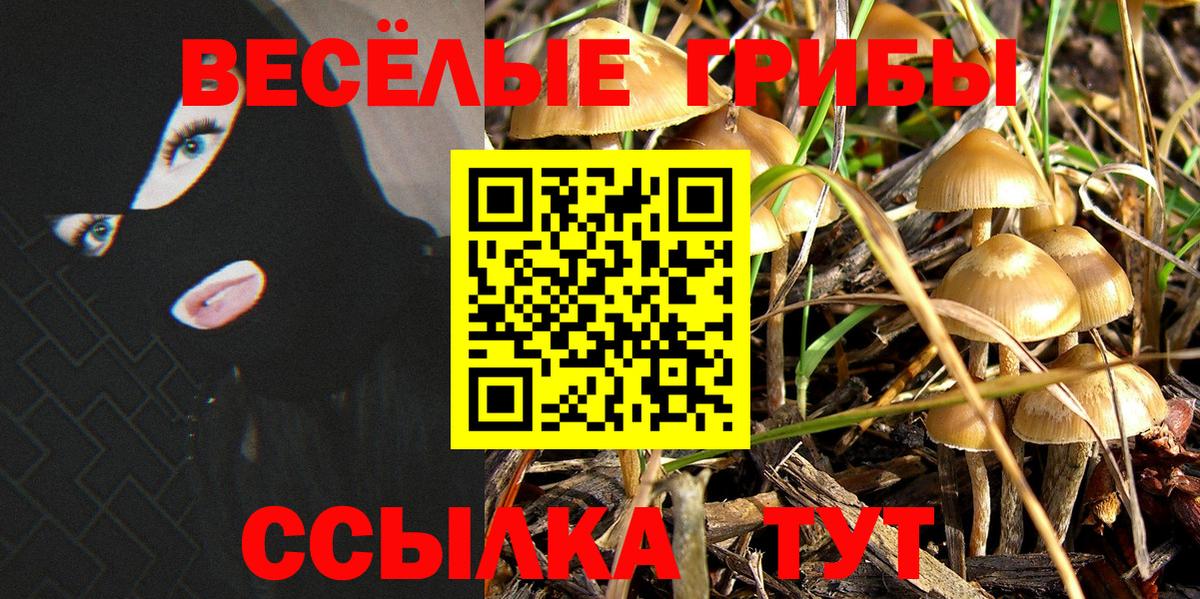Галлюциногенные грибы ЛСД Сертолово